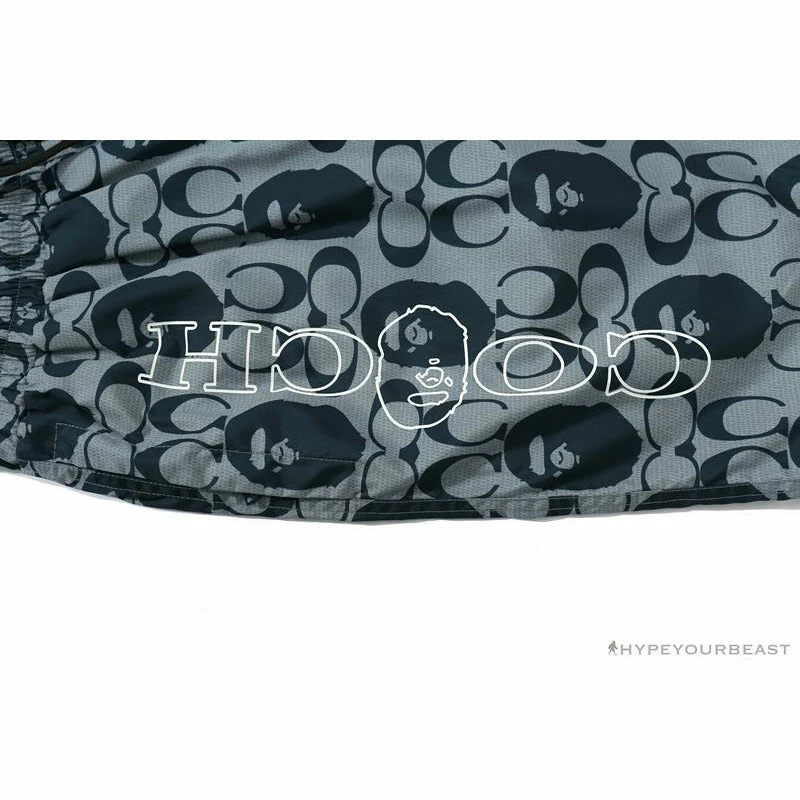 BAPE X COACH Co-Branded Grey-Blue Shorts Clothes